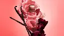 AOM.webp
